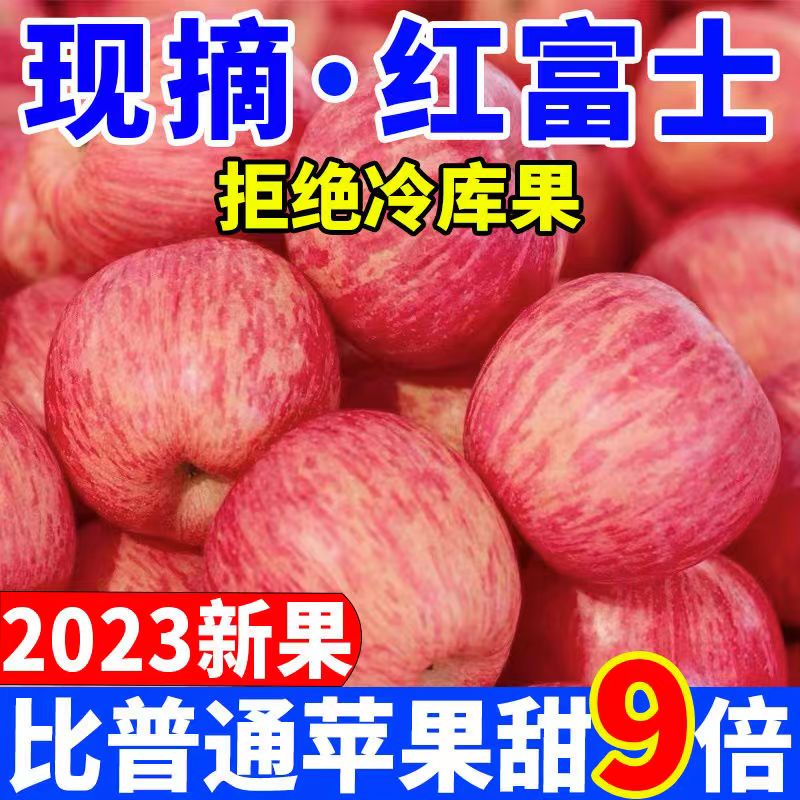云南昭通红露冰糖心苹果新鲜当季原产地现摘红富士整箱2/5/10斤