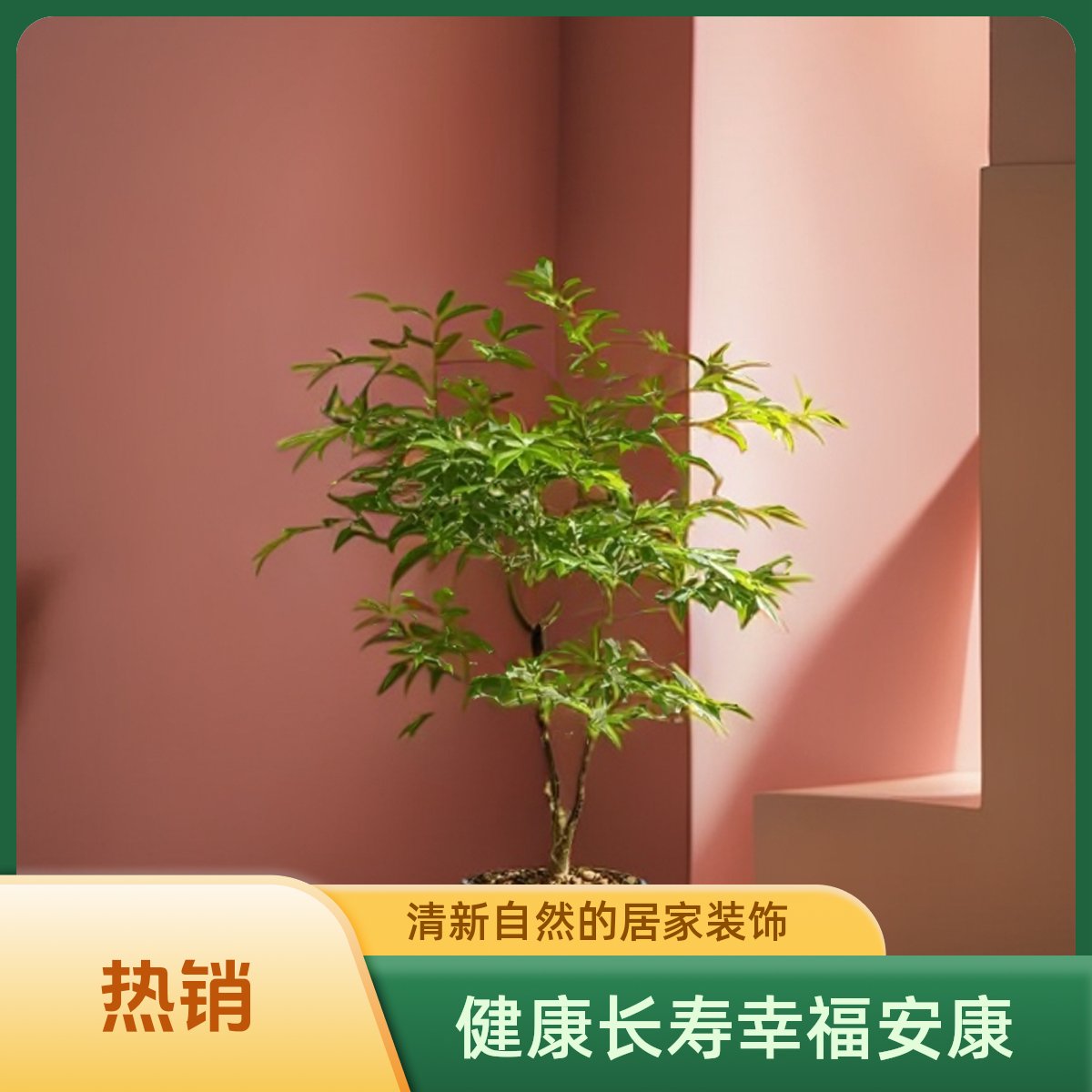 精品南天竹  福寿安康  
