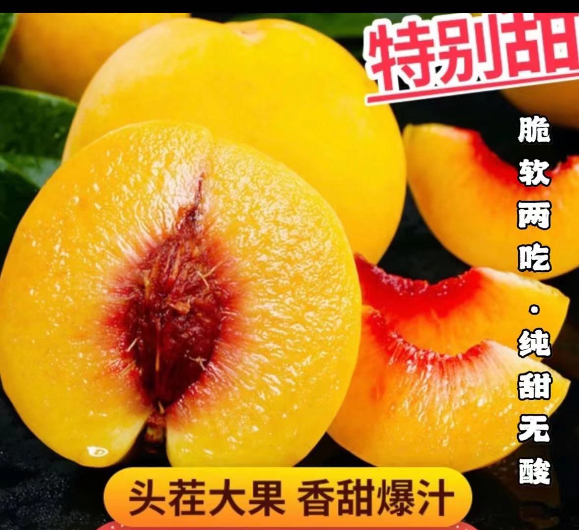 【现摘现发】锦绣黄桃带箱5斤爆甜多汁蜜香味浓郁（放软更甜）