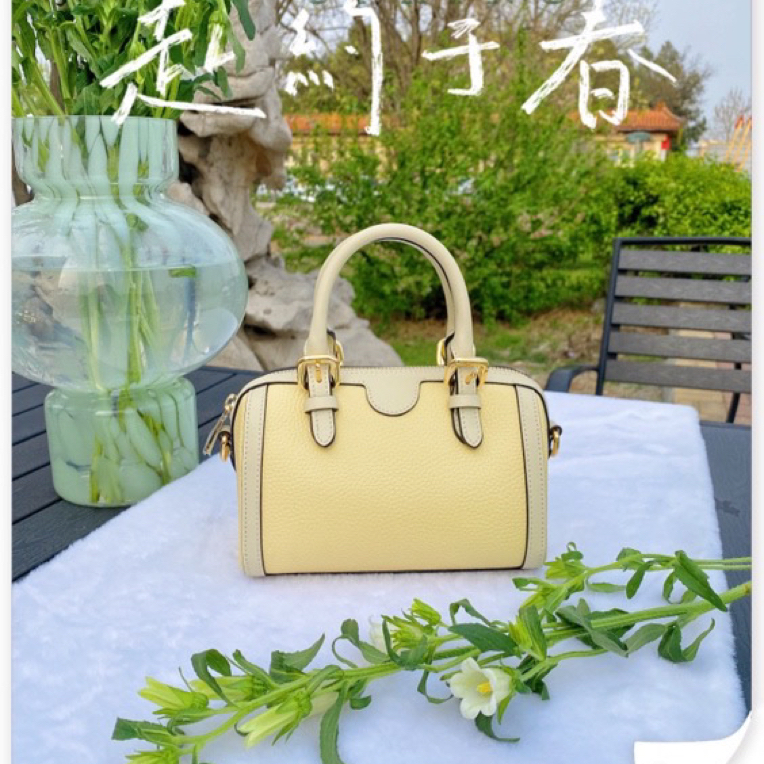 可定制款波士顿---淄博宝恩时尚头层牛皮真皮手提mini款TL24016
