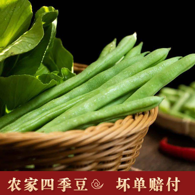 湘西农家四季豆新鲜现摘露天当季时令蔬菜东北芸豆角长扁豆角