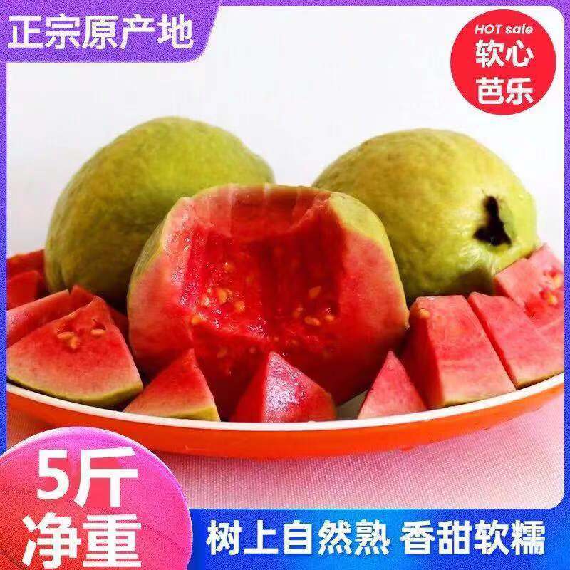 「商超品质」广西红心芭乐软心番石榴果园采摘大果新鲜水果香甜软糯