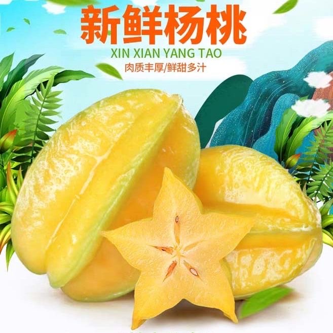 广东杨桃应季新鲜孕妇水果现摘甜阳桃包邮现摘现发清甜多汁皮薄