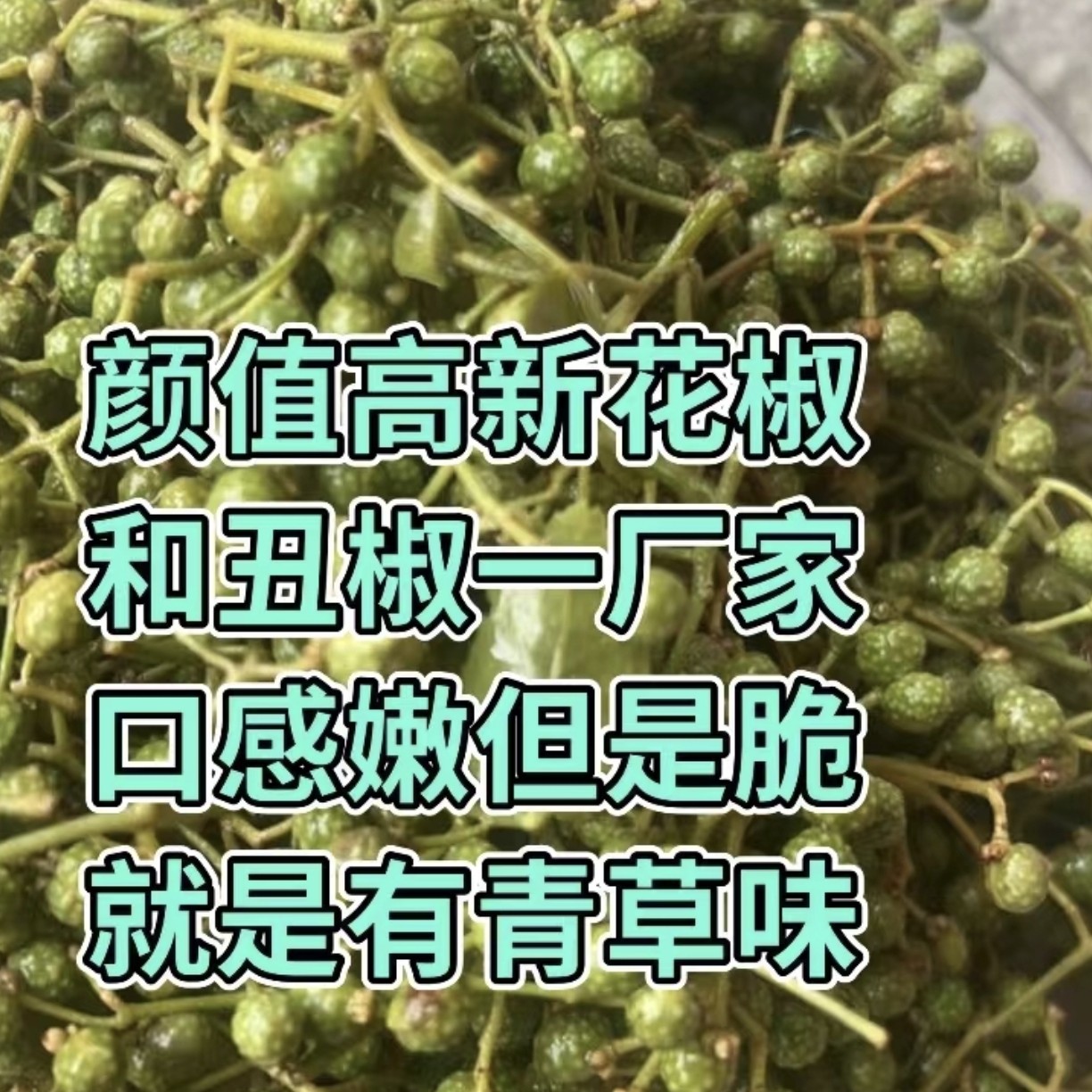 新品青花椒冷冻鲜花椒每包重350克左右