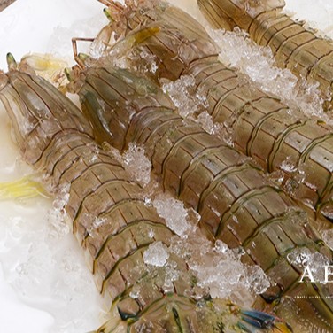冰鲜 爬爬虾 500g