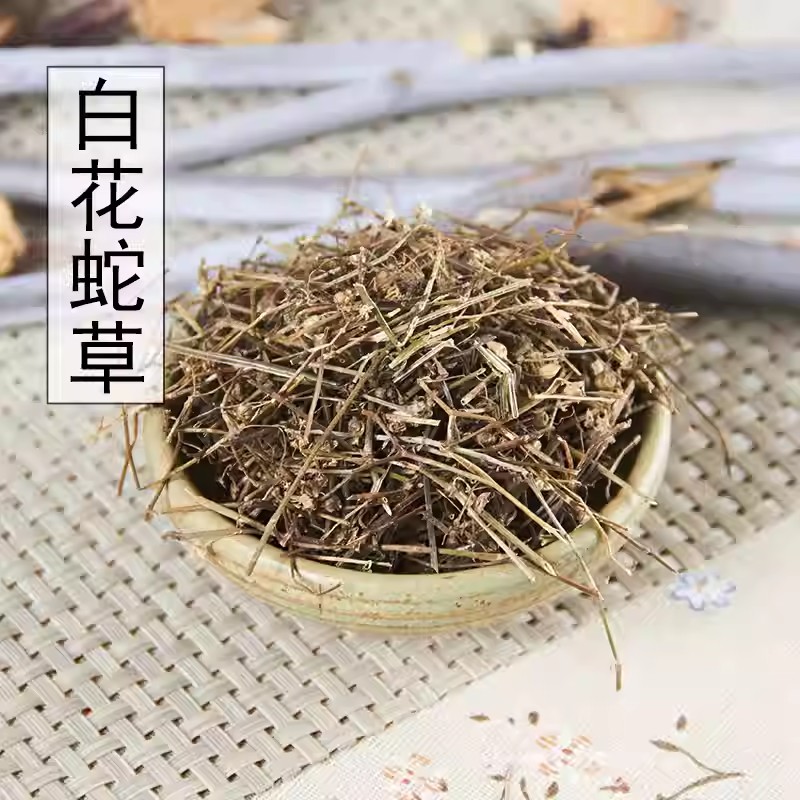 巴中农村坡上长的白花蛇舌草当季新草不熏硫泡水泡茶泡酒