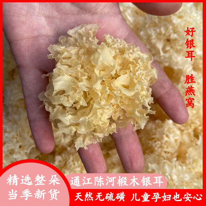巴中通江陈河椴木银耳干货整朵椴木无硫口感软糯胶质丰富不熏硫