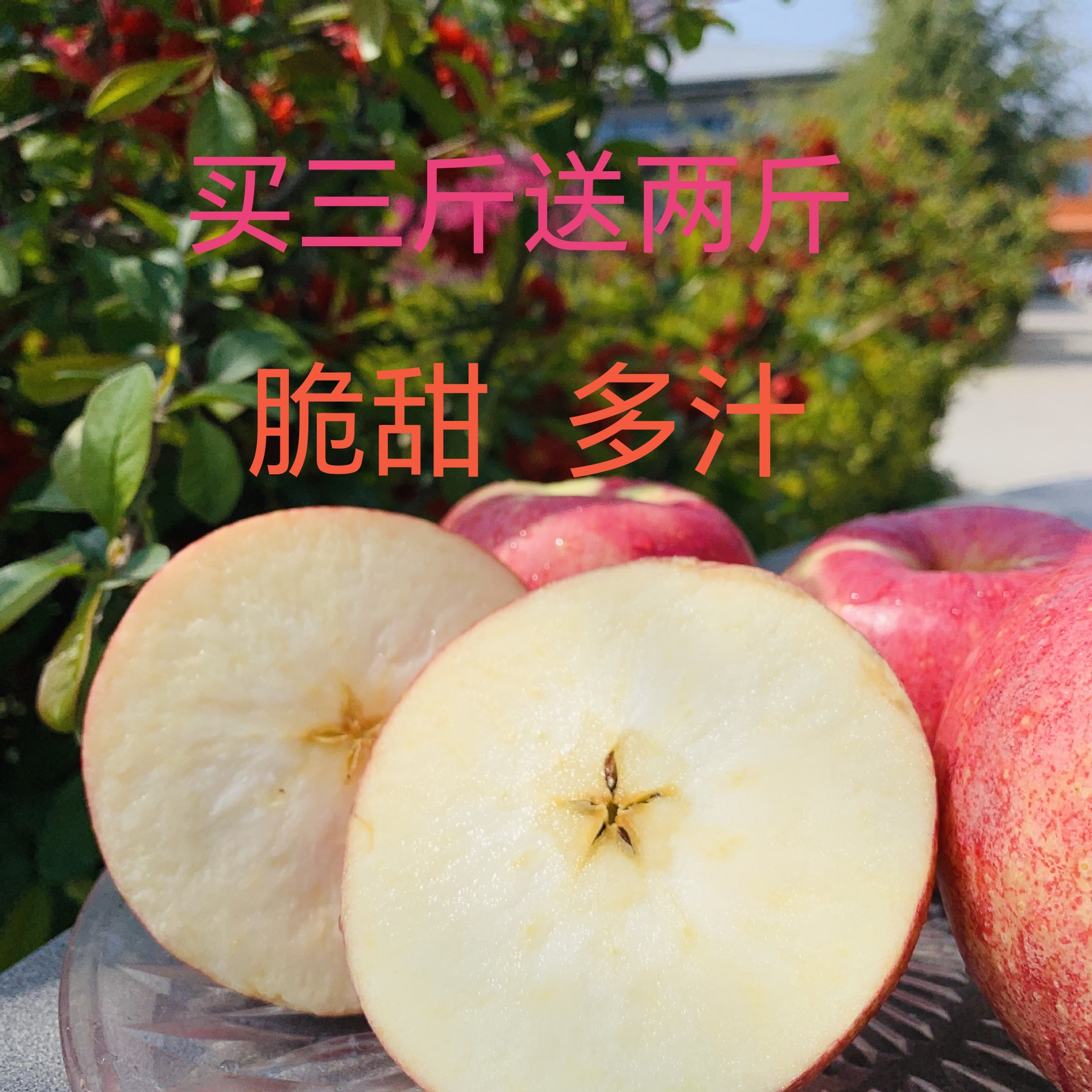 【新鲜红富士】山西高山甜脆红富士苹果新鲜丑苹果冰糖心5/9斤食用