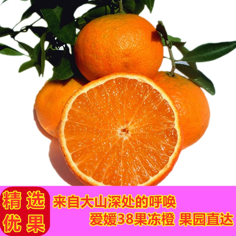 爱媛果冻橙爱媛38号手剥橙新鲜香甜细嫩饱满多汁酸甜自然快递水分
