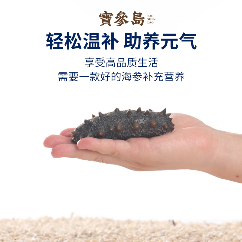 【年货节补贴】宝参岛鲜食海参辽参14-16头500g（7斤送3斤共10斤）