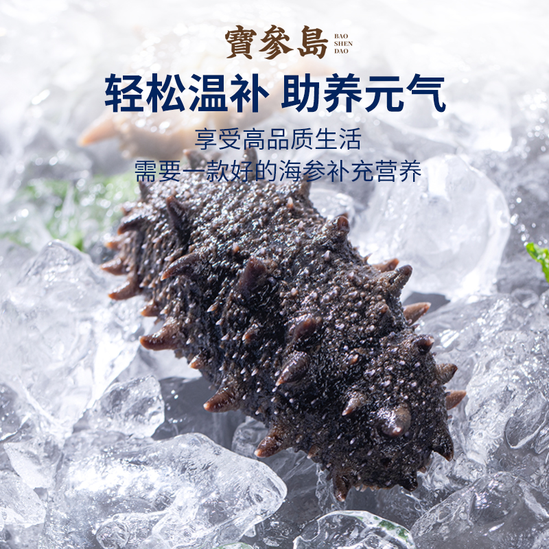 鲜食海参辽参大连海参6-7头/500g（5斤送2斤共7斤）营养优质肉质