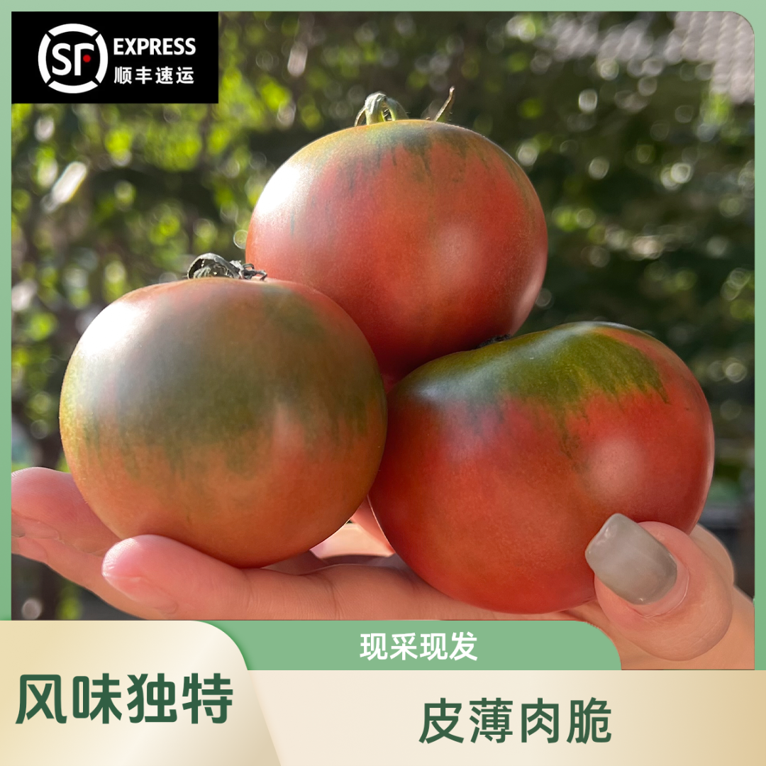 【草莓番茄4斤】酸甜多汁/铁皮西红柿/密云直发/现采现发