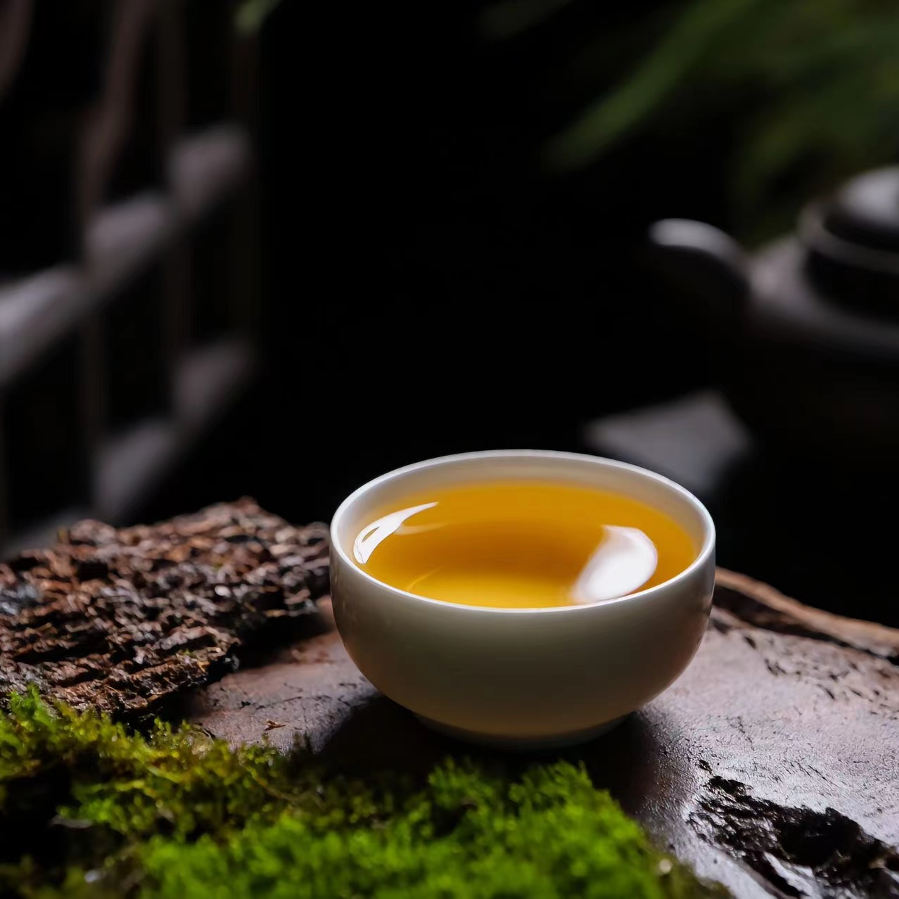 云南普洱茶通用链接-15