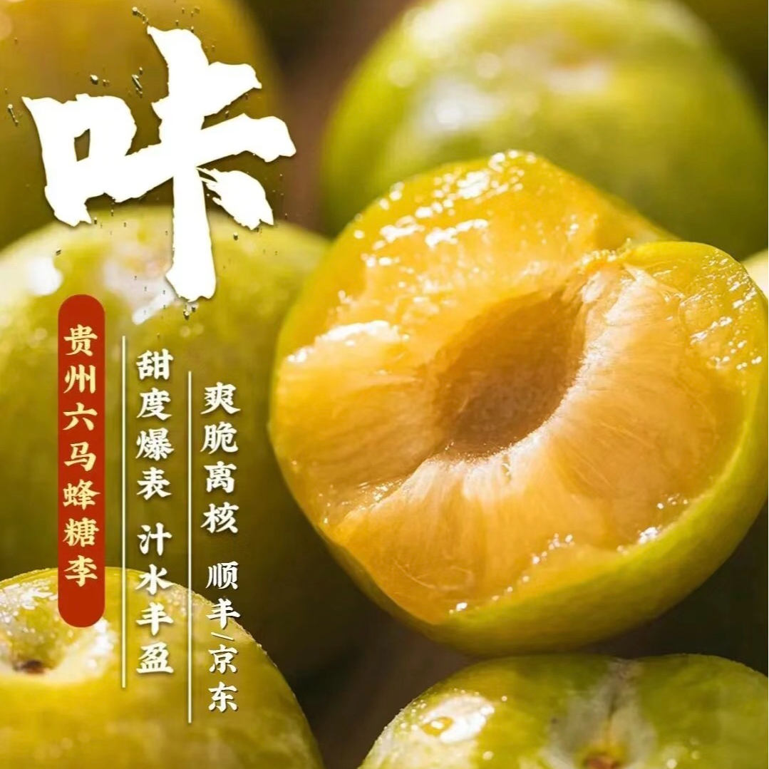 （福利款蜂糖李1 颗）枝摇正宗蜂糖李子嫁嫁接脱骨生根种植耐寒脆李