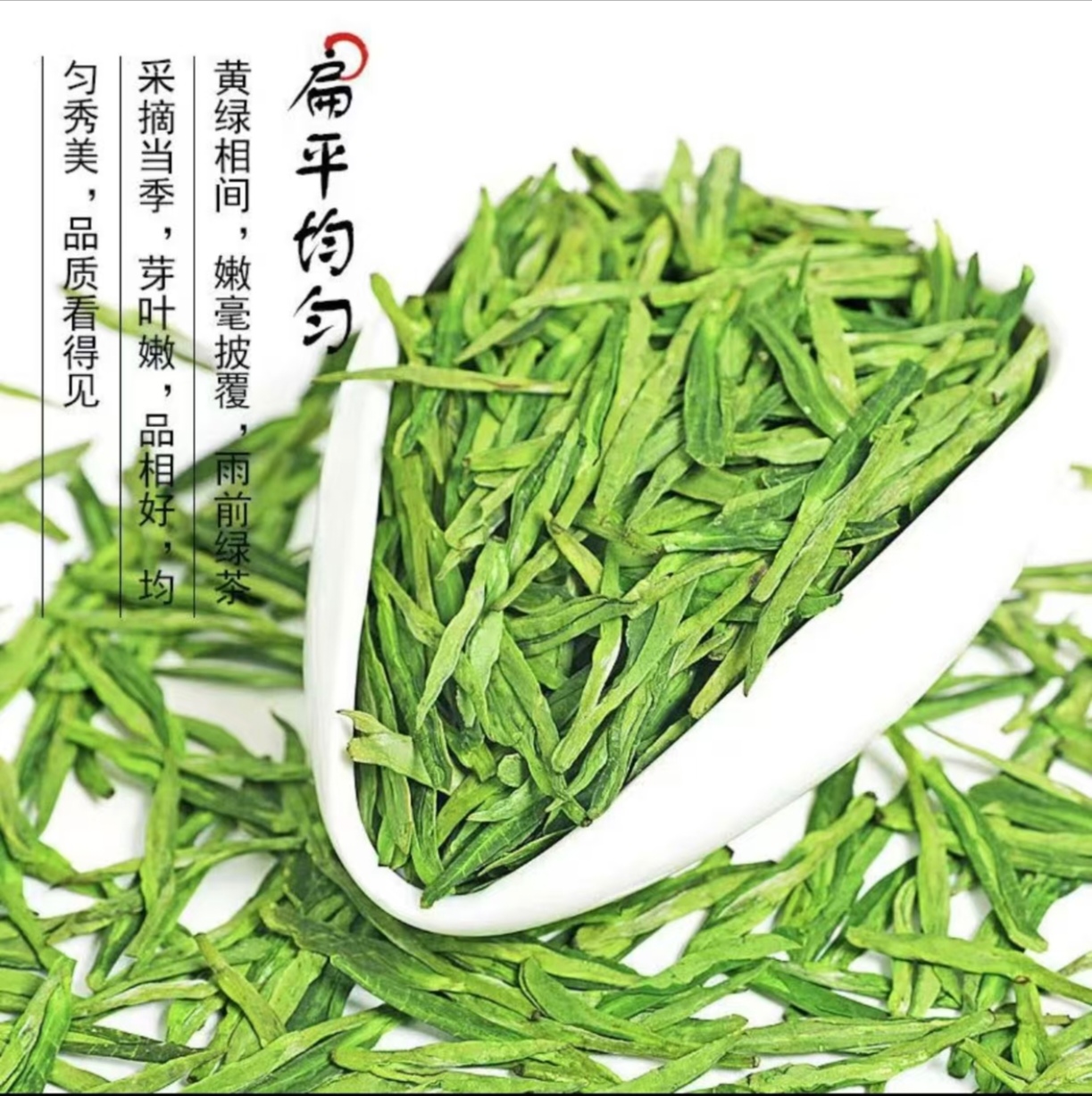 K2024年浙江龙井绿茶豆香浓郁耐泡250克/包
