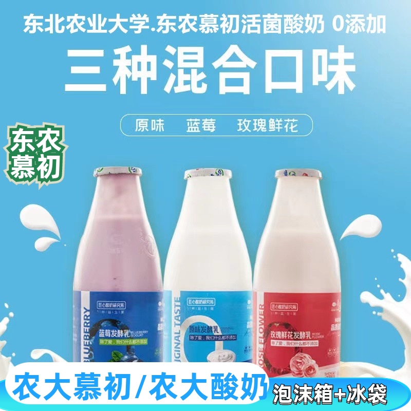 【农大慕初＆农大酸奶】东北农大原味/蓝莓/玫瑰酸奶0添加发酵乳