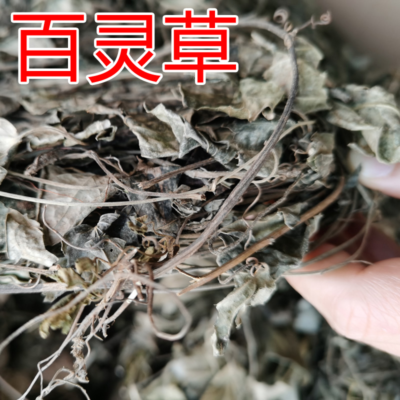 散装百灵草1斤(500g)沙县邓碧贞小吃配料店农产品称斤商用包邮