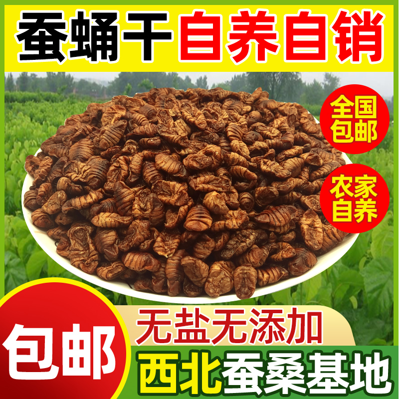 一级蚕蛹干陕南石泉特产2023年干蚕蛹干纯干桑蚕蛹原味干蚕蛹包邮