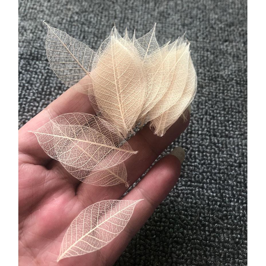 天然树叶橡胶叶真树叶脉络干花植物永生花盒标本书签原色100片