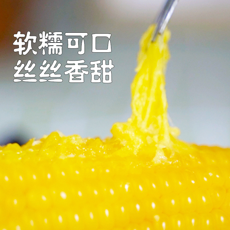 全穗优【拍一发五】颗粒饱满半斤40穗五箱新鲜有机口感甜糯玉米营养