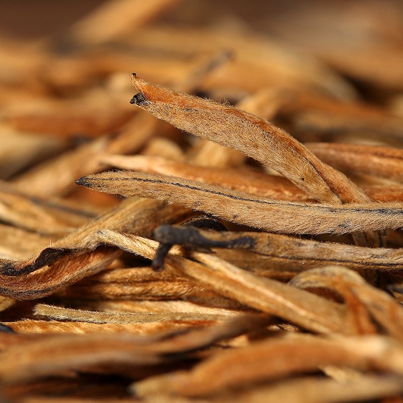 【BC】滇红茶大金针蜜薯浓香古树散装5克