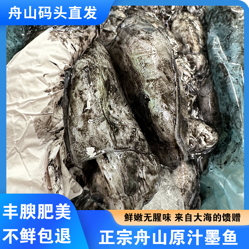 福利！舟山原汁墨鱼！