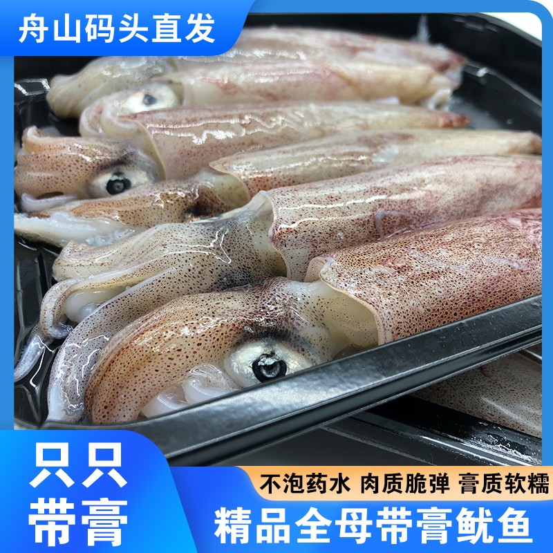 400g/包 3包装 5-7只/包舟山笔管带膏母鱿鱼新鲜海捕鲜活船冻鱿鱼