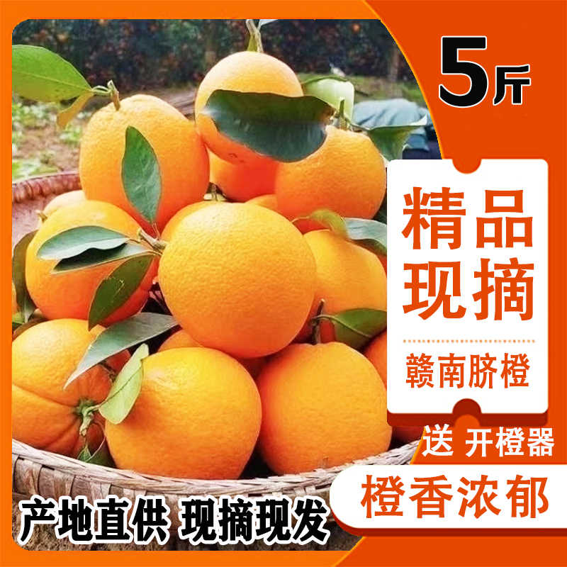 【5斤赣南脐橙】正宗赣南脐橙产地直供现摘现发橙子江西兴国