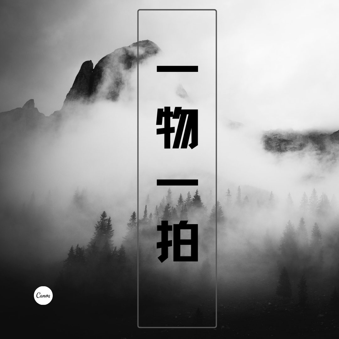 精品盆景专拍   直播间一物一拍 