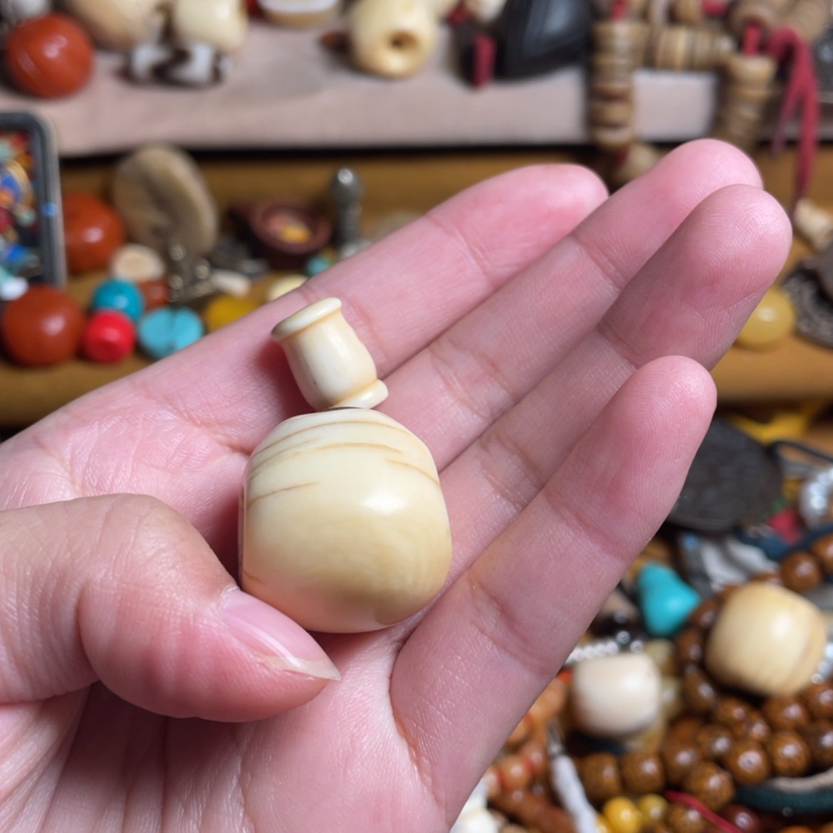 【闪购商品】红贵宝草*