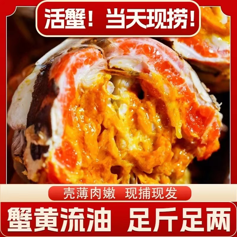 【活蟹】江苏蟹母3.6-3.3两公4.6-4.3两5对10只AK