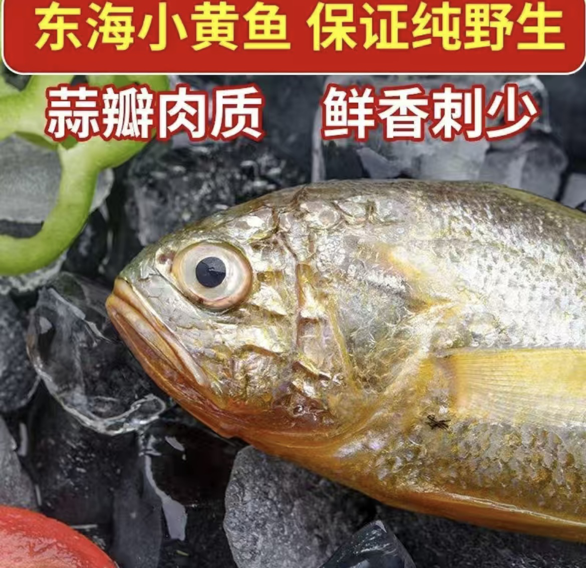 大连中号黄花鱼 （8）野生黄花鱼 干冰速冻发货