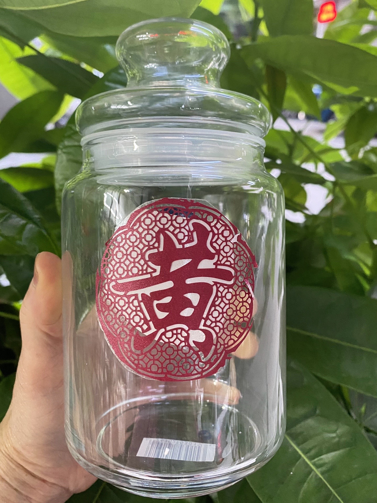 【友润专用】根茎罐罐250g-500g