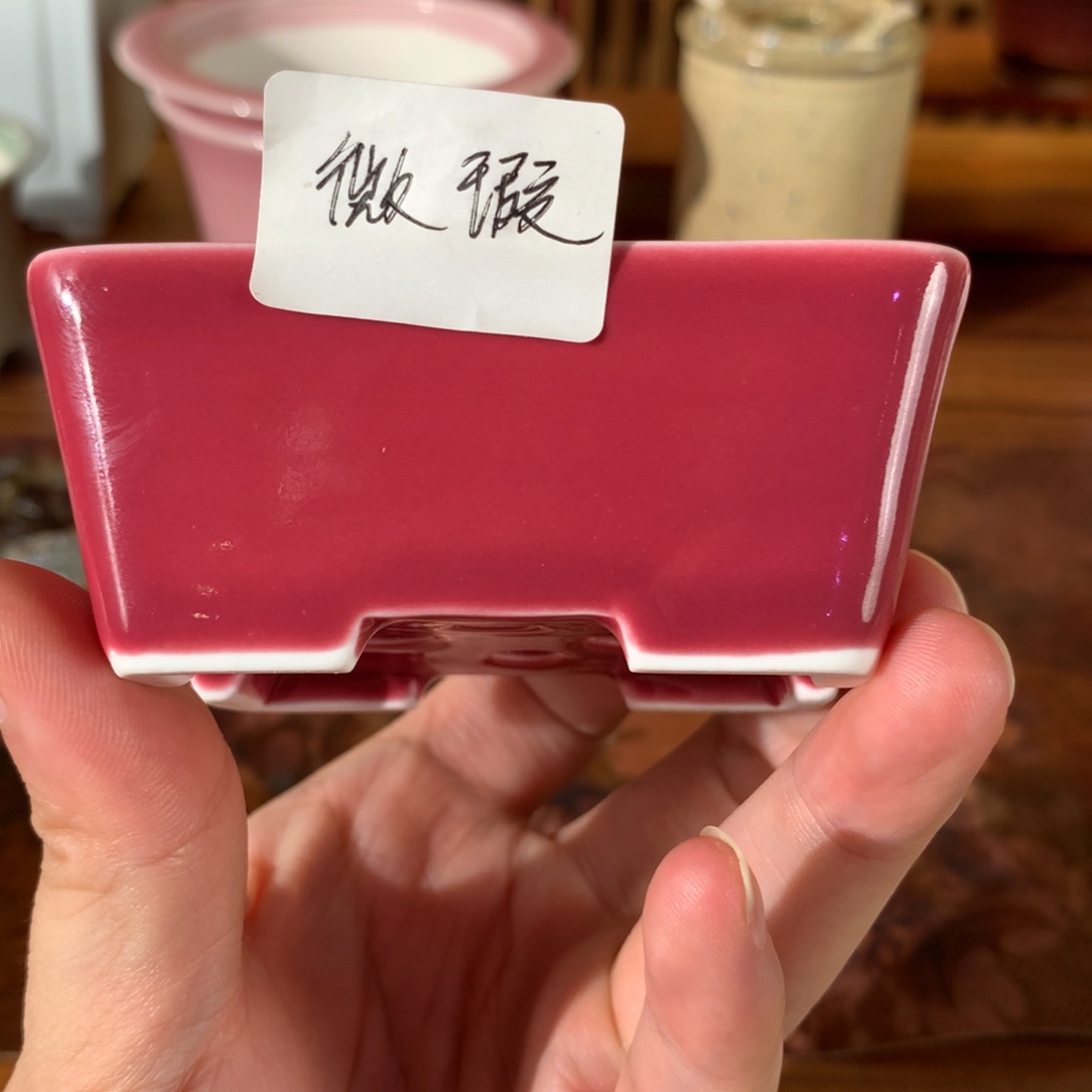 红陶20CM（含）-50CM（不含）