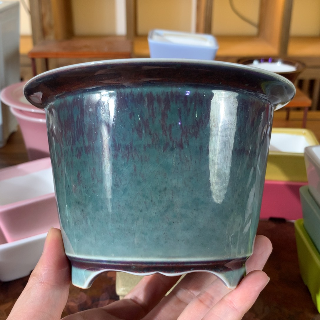 红陶20CM（含）-50CM（不含）