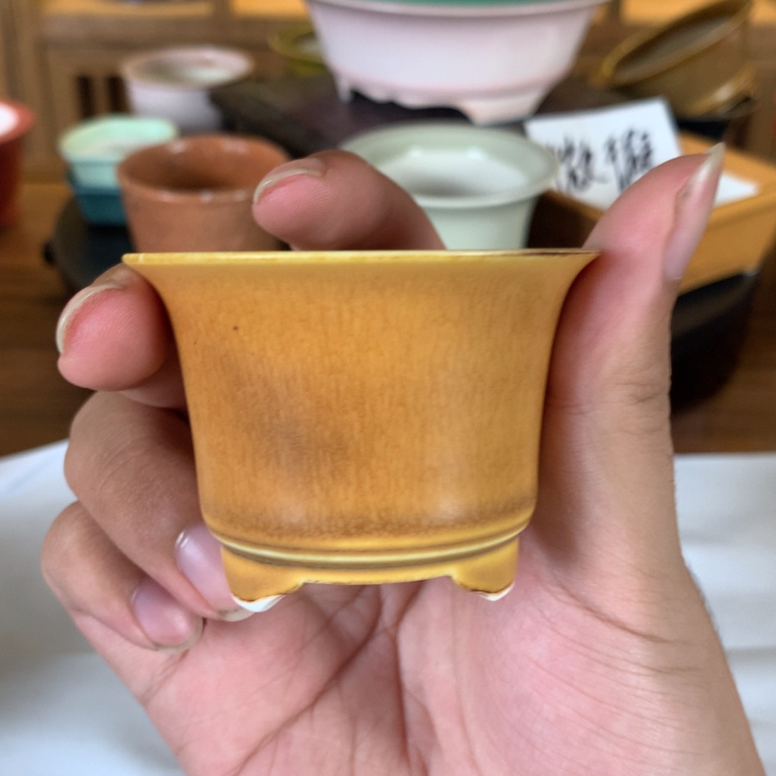 红陶花了一个人去看了一