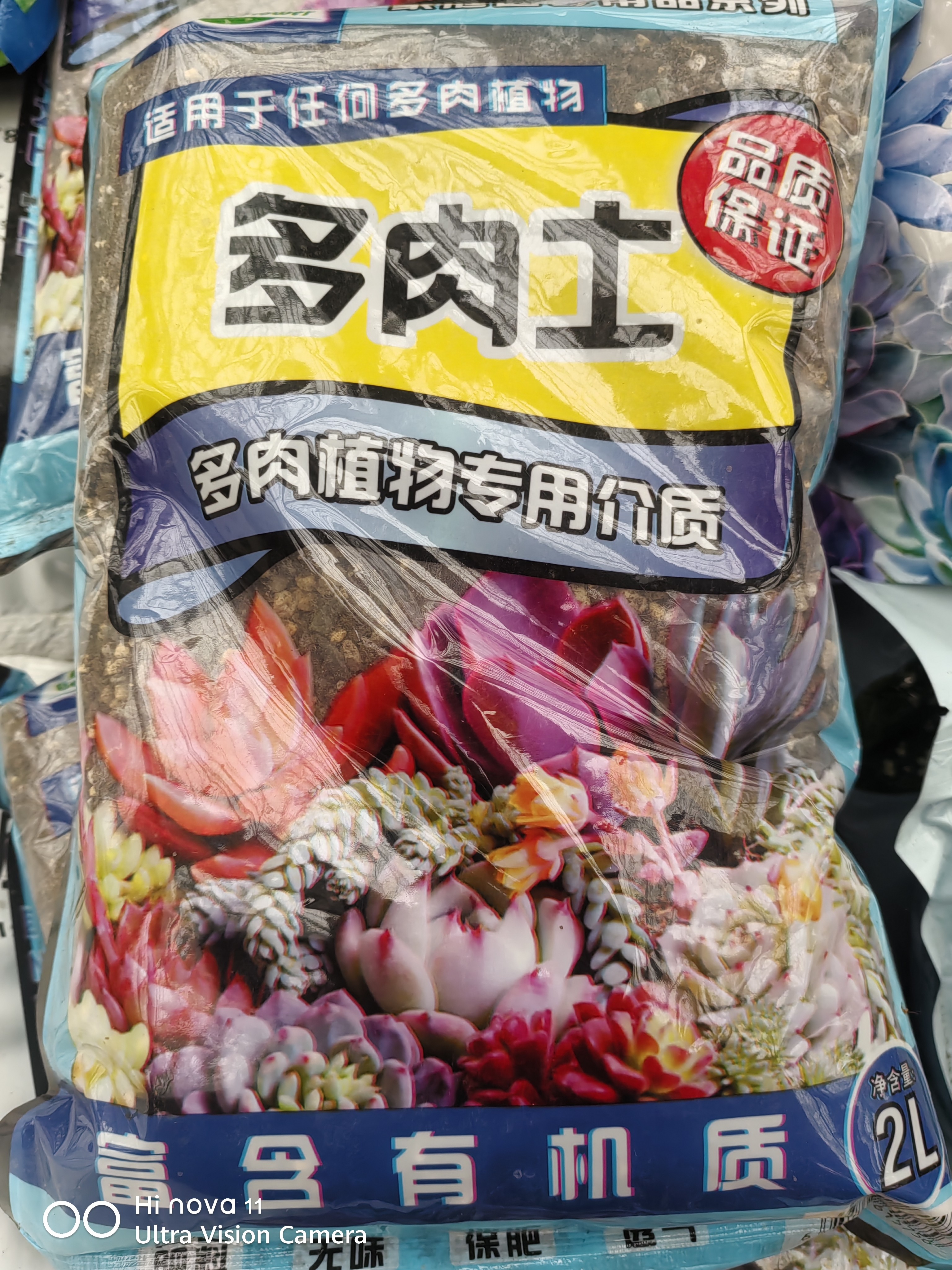 多肉土 养多肉专用