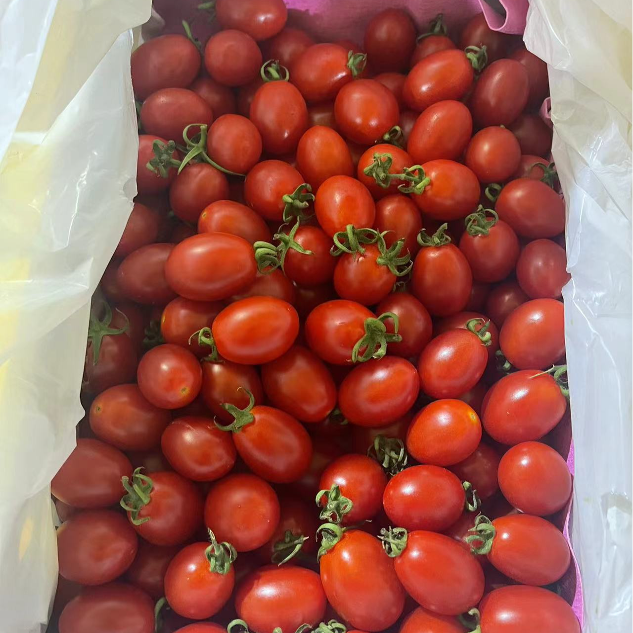 【新发地】千禧小番茄 爆汁小糖丸 2.2斤礼盒装圣女果