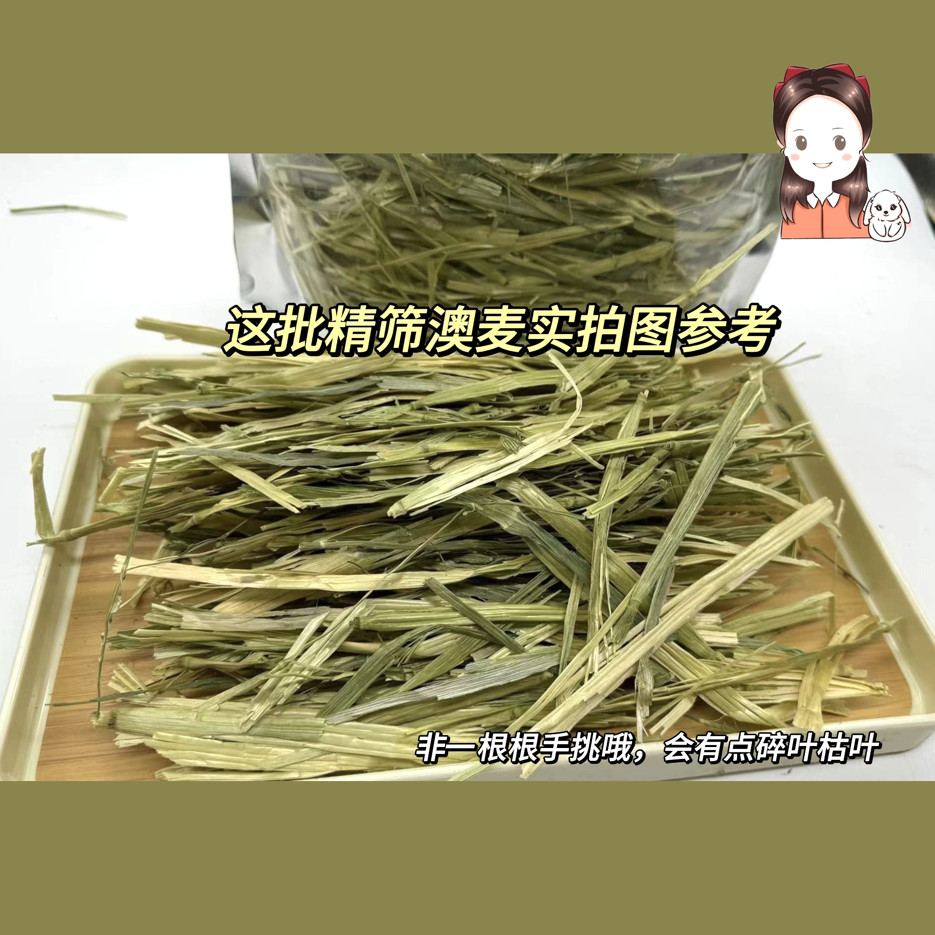 青黄澳麦草段高粗纤维兔龙猫荷兰猪精选草段