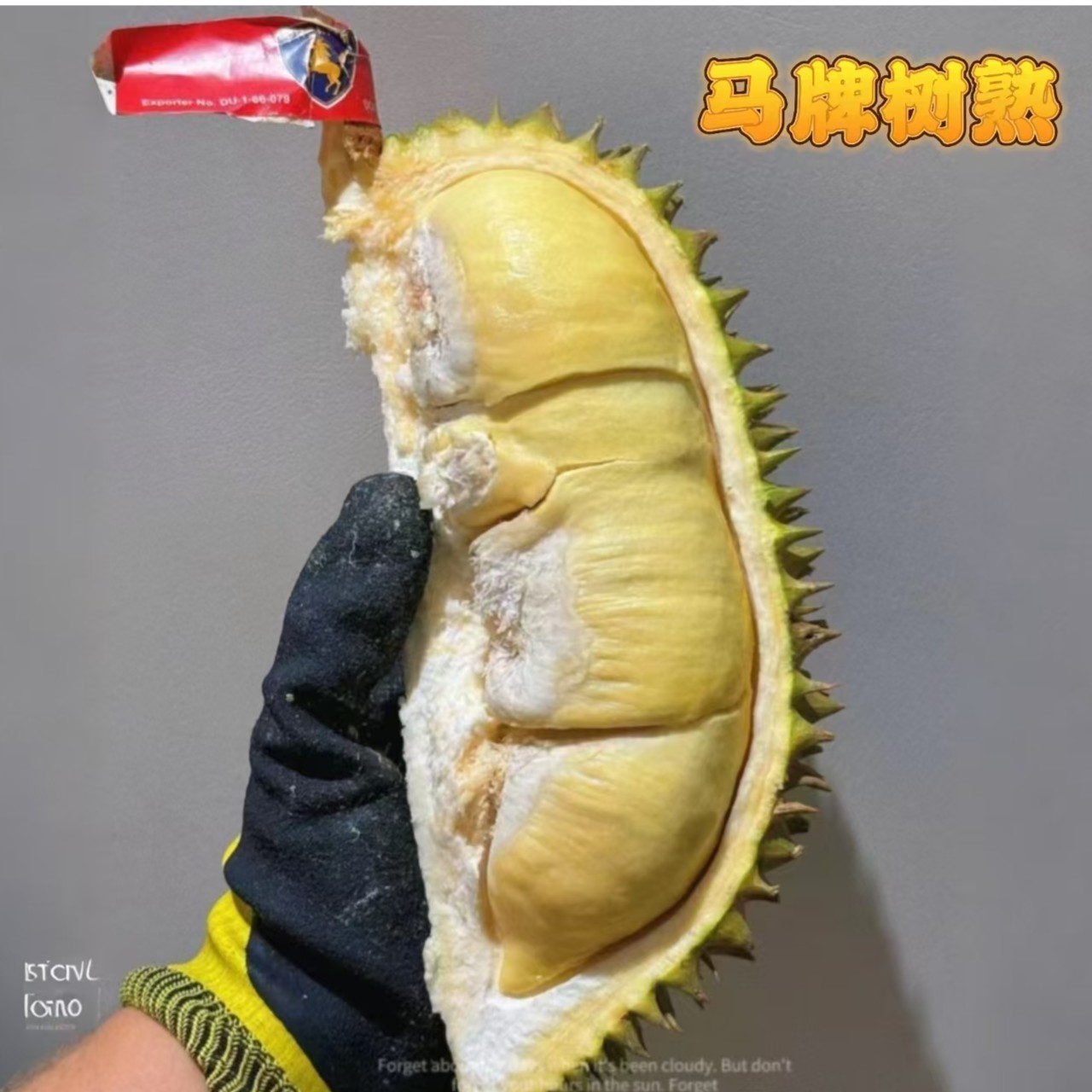 9号【马牌】泰国空运树熟A级金枕【一果一拍】【保5房肉】【花都同城小时达】