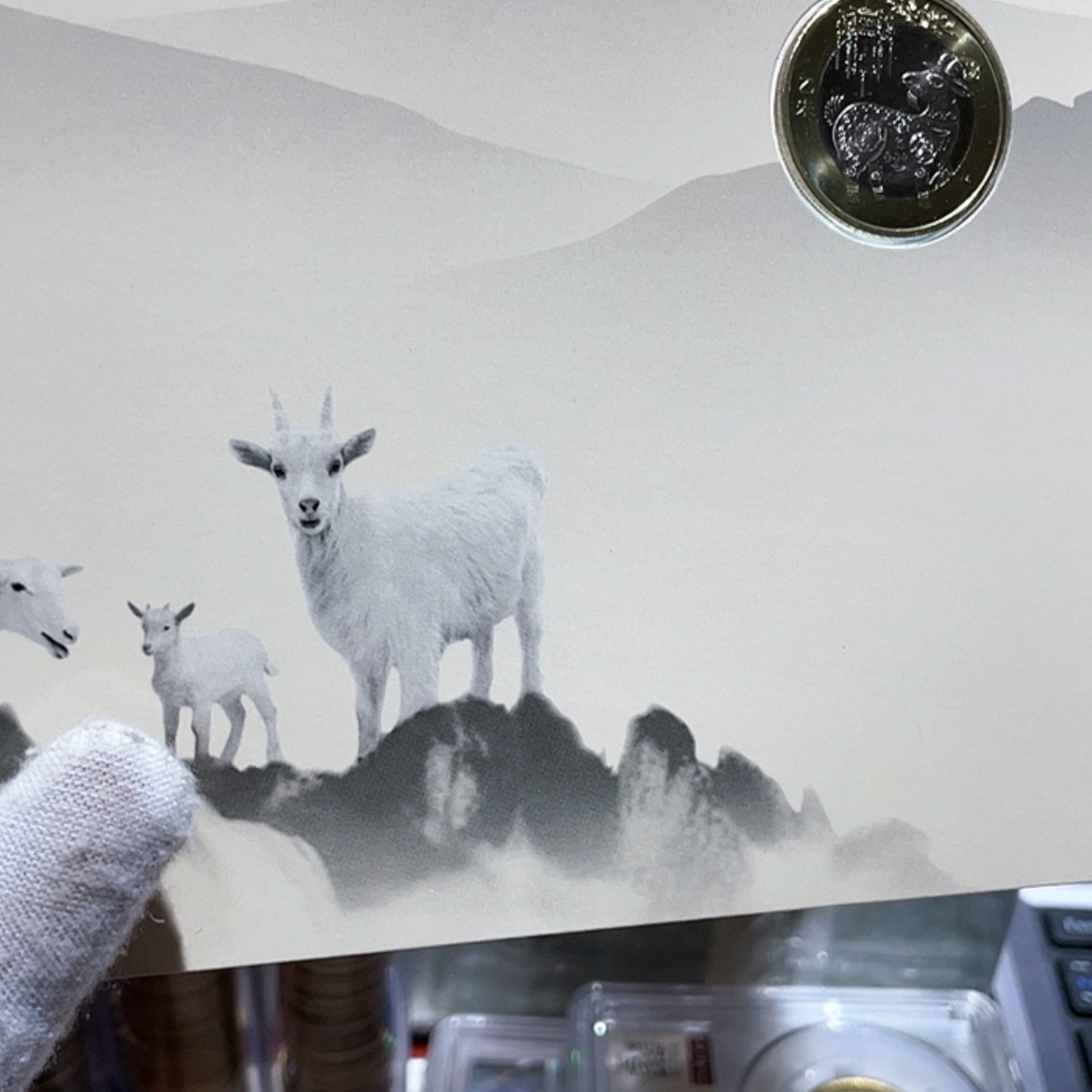 【闪购商品】铜二羊卡币