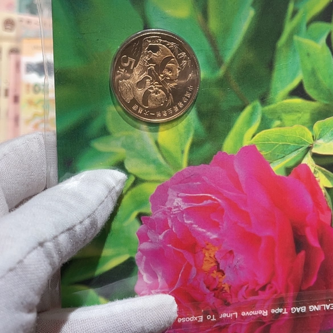 【闪购商品】铜大熊猫春卡