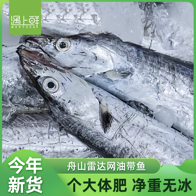 遇上鲜 舟山雷达网油带鱼 小眼睛带鱼舟山本地发货冷运配送