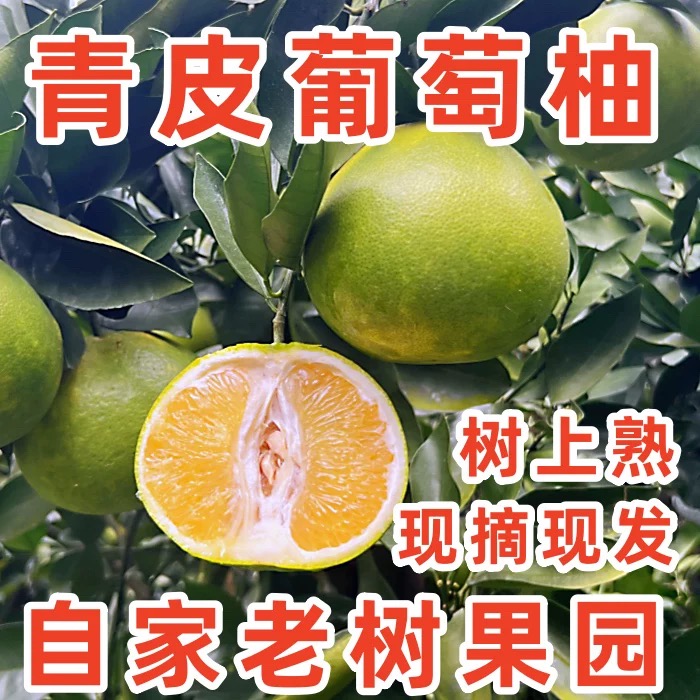 正宗玉环葡萄柚柚子5斤10斤新鲜采摘应季水果坏果包赔台州特产