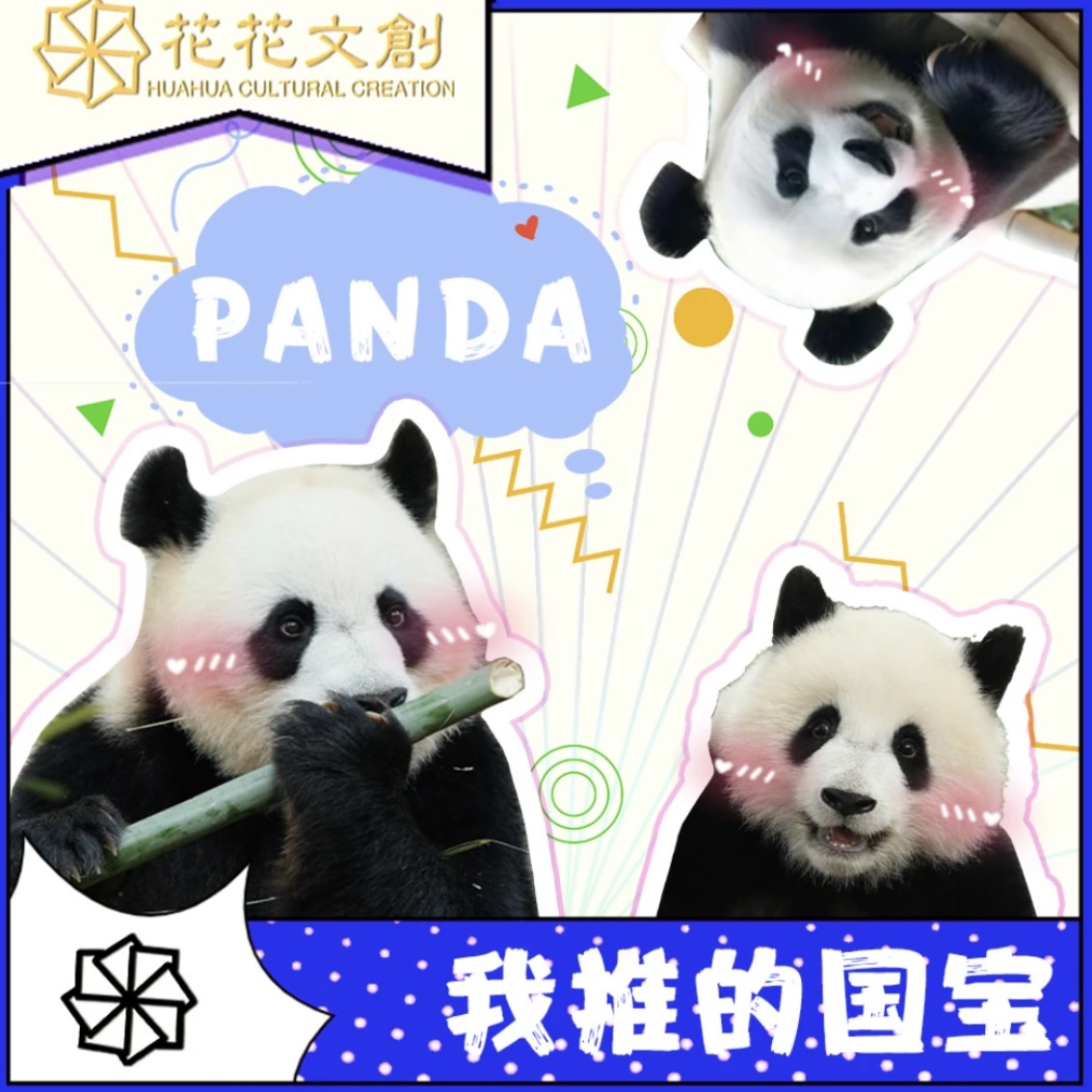 【代拆】花花文创 我推的国宝 熊猫收藏卡牌