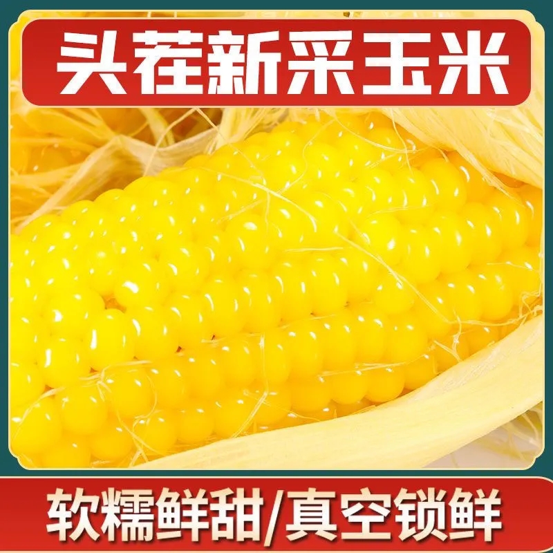 东方优选甄选10棒5斤东北黄糯玉米大棒甜玉米粘苞米粗粮真空包装