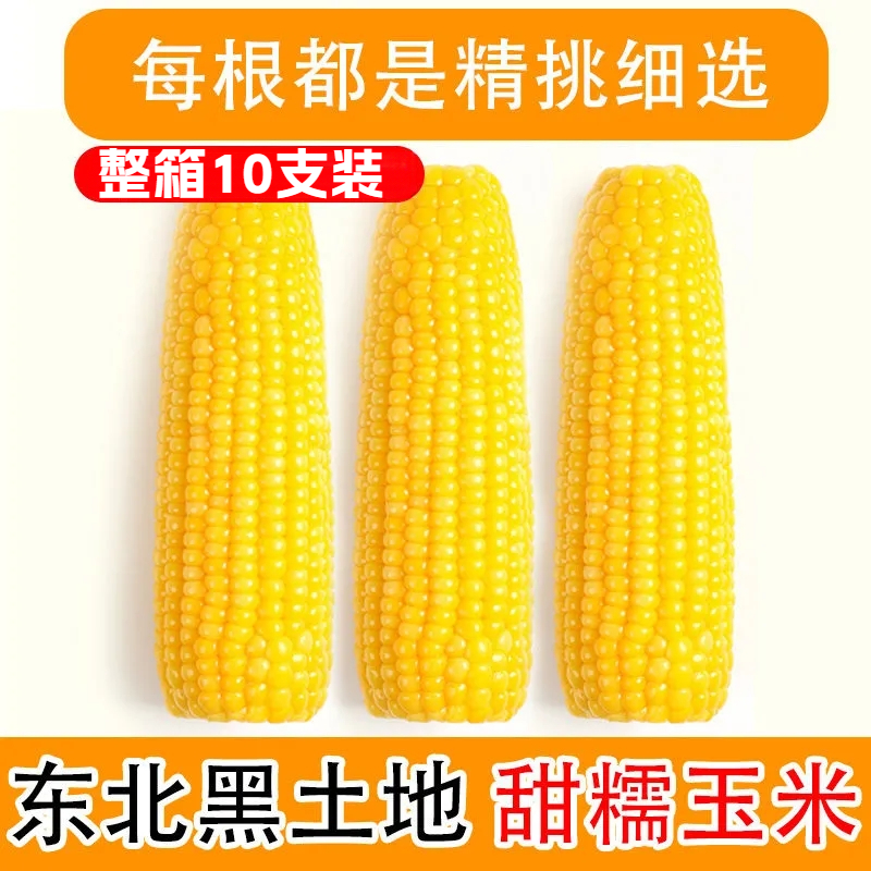 东方优选甄选10棒5斤玉米棒糯玉米整箱玉米新鲜加热即食东北特产