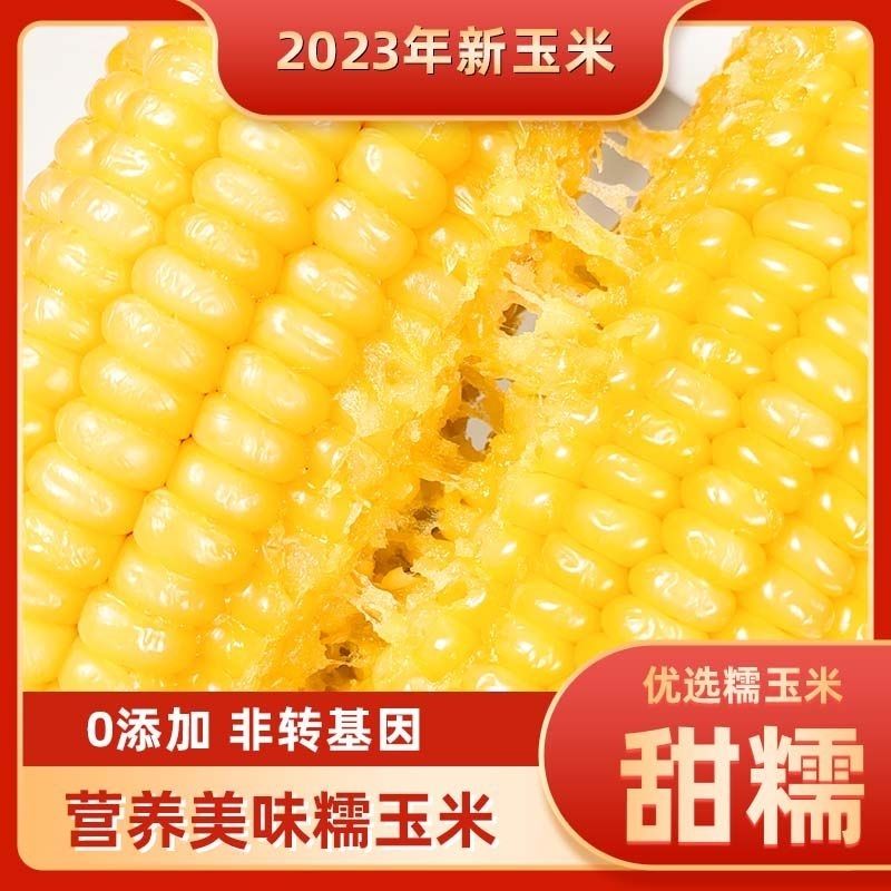 东方优选甄选10棒5斤新鲜糯玉米黄糯玉米真空袋装包东北加热即食