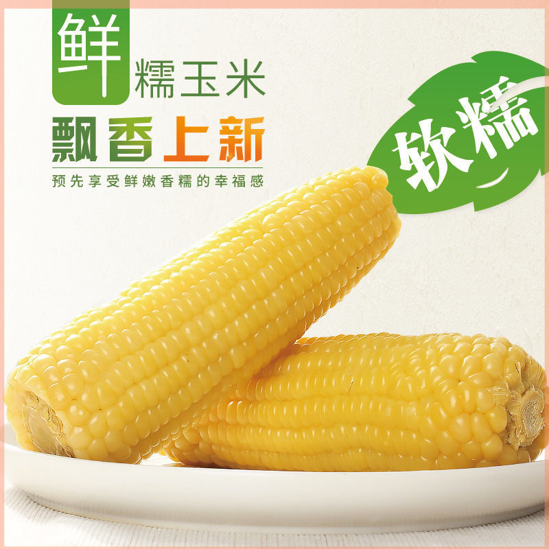 东方㼼选东北糯玉米真空保鲜新鲜黄棒香甜黄糯粘玉米棒非转基因
