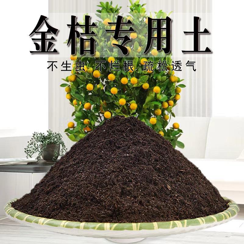 金桔专用土桔子专用营养土家庭橘子种植土养花土通用型种花土肥料